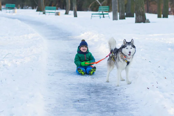 Mutlu çocuk oyun park kış kar tam husky köpek ile 