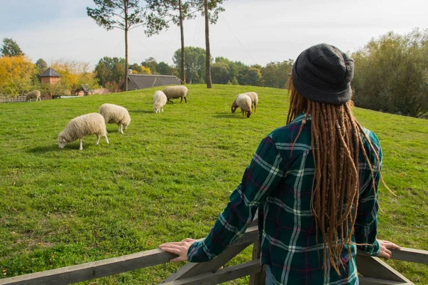 Young Woman Watching Sheeps Walking Green Grass Farm — Stock Photo, Image