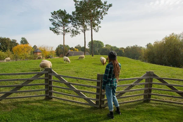 Young Woman Watching Sheeps Walking Green Grass Farm — Stock Photo, Image