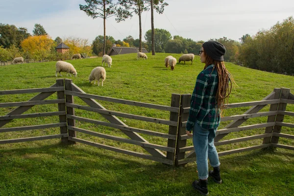 Young Woman Watching Sheeps Walking Green Grass Farm — Stock Photo, Image