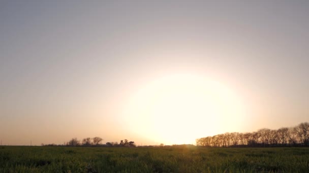 Silhouette Young Man Relaxing Having Good Time Alone Summer Field — Stock Video