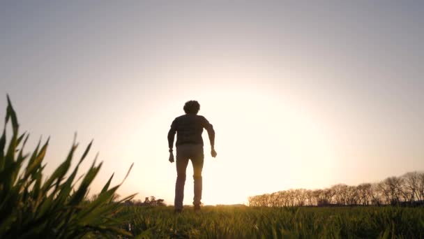 Silhueta Jovem Relaxante Divertindo Sozinho Campo Verão Durante Pôr Sol — Vídeo de Stock