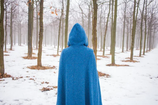 Mujer Joven Con Abrigo Azul Retro Caminar Parque Niebla Los — Foto de Stock