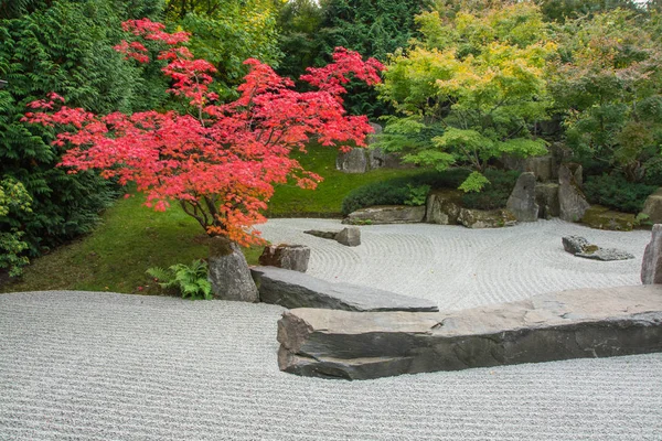 japanese garden in autumn time