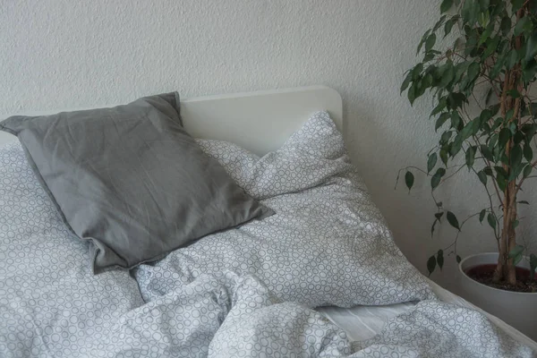 Nahaufnahme Von Kissen Auf Bequemem Bett — Stockfoto