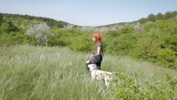 Jovem Mulher Viajar Cão Sagacidade Nas Montanhas Verão — Vídeo de Stock