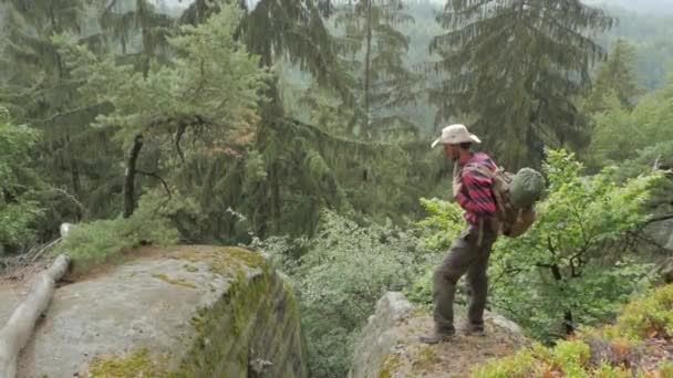 Молодий Чоловік Ходить Пішки Літніх Горах — стокове відео
