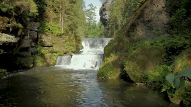 Bela Cachoeira Floresta Europa Saxon Suíça — Vídeo de Stock