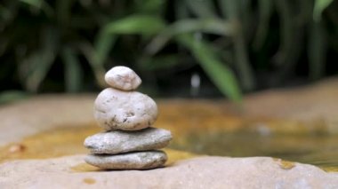 Su damlaları ve taşlar ile Japon botanik zen bahçesi