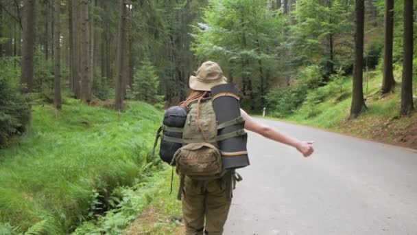 Jeune Voyageuse Auto Stoppeuse Seule Dans Route Forestière Avec Sac — Video