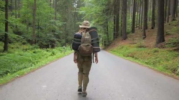 Jeune Voyageuse Auto Stoppeuse Seule Dans Route Forestière Avec Sac — Video