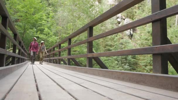 フォレスト内の木製の橋の上を歩くハイカーのカップル — ストック動画