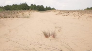 Genç kadın uzun yürüyüşe çıkan kimse seyahat etmek sırt çantası çölde yalnız