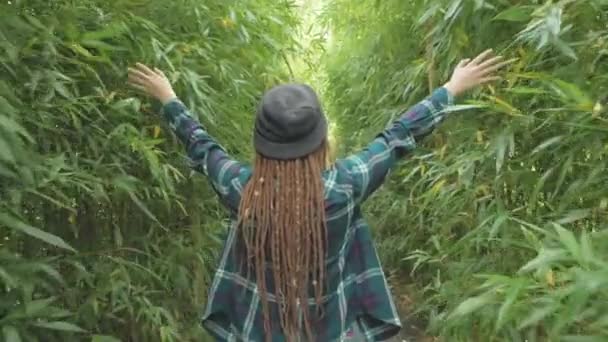 Jeune Rousse Femme Avec Dreadlocks Marcher Dans Forêt Bambous Verts — Video