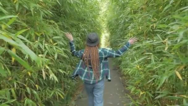 Genç Kızıl Saçlı Kadın Dreadlocks Ile Yeşil Bambu Ormanında Yürüyüş — Stok video