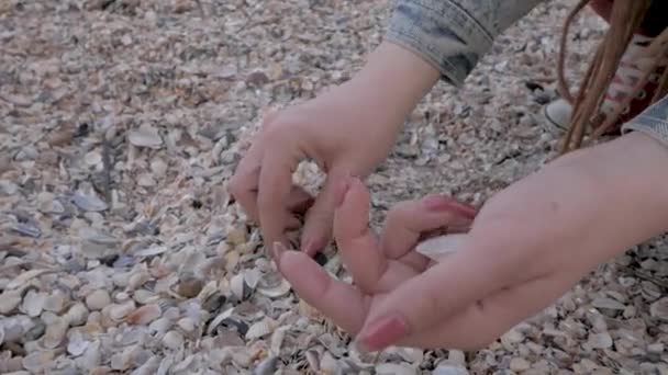 Close Van Dames Handen Het Verzamelen Van Schelpen Het Strand — Stockvideo