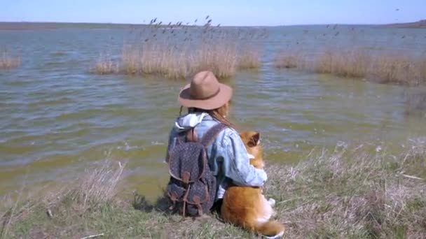 川の近くのかわいいコーギー犬を持つ若い女性 — ストック動画