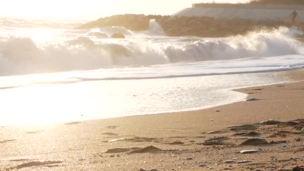 Pár Turistů Turistika Podzimní Pláži Slunečný Den — Stock video