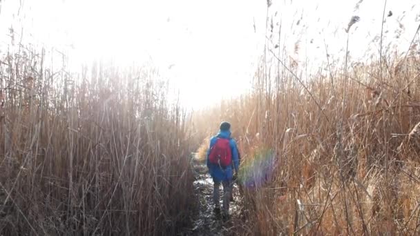 Oung Coule Caminhantes Campos Secos — Vídeo de Stock