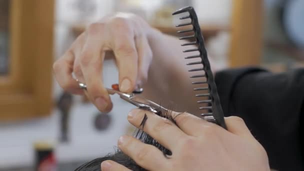Perto Homem Cortar Cabelo Barbearia Cabeleireiro Masculino Trabalho — Vídeo de Stock