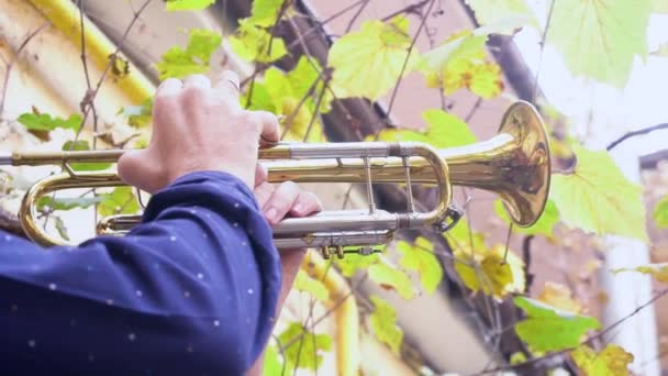 Açık Havada Trompet Erkek Oyun Kapatmak — Stok video