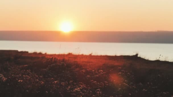 Jeune Homme Trail Runner Entraînant Extérieur — Video