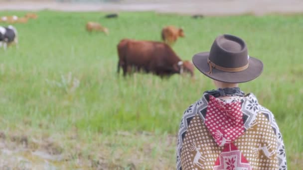 Ung Kvinna Resenär Poncho Och Hatt Promenad Fälten Och Gård — Stockvideo