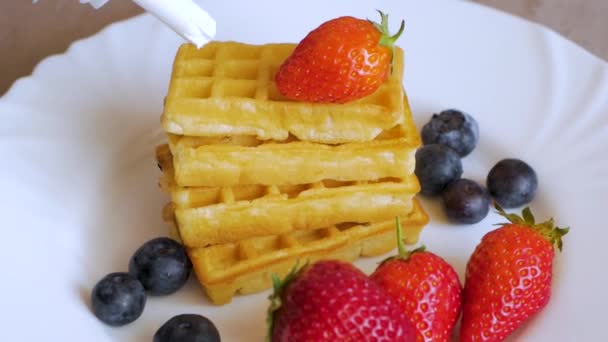 Belgian Waffles Strawberry Blueberries White Plate Close — Stock Video
