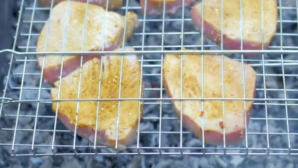 火の上の赤い魚のステーキのクローズアップ 屋外のコッキング — ストック動画