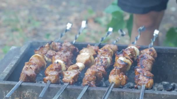 Cerrar Kebab Barbacoa Parrilla Aire Libre Carne Cerdo Preparada Llamas — Vídeos de Stock