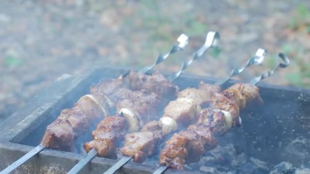 Close Kebab Barbecue Buitengrill Varkensvlees Bereid Brand — Stockvideo