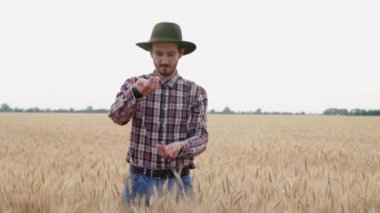 Genç erkek çiftçi gün batımında güzel yaz buğday tarlasında yürümek