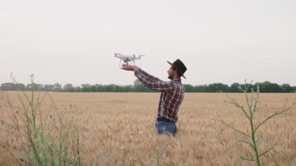 Trabalho Agricultor Com Drone Campos Trigo Verão — Vídeo de Stock