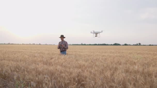 Lavoro Degli Agricoltori Con Droni Nei Campi Estivi Grano — Video Stock