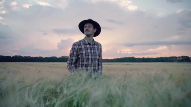 若い男性農家は 日没時に美しい夏の小麦畑を歩きます — ストック動画