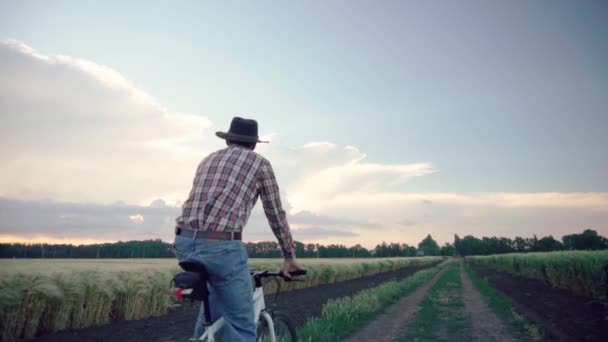 小麦畑の自転車に帽子をかぶっている若い男性農家 — ストック動画