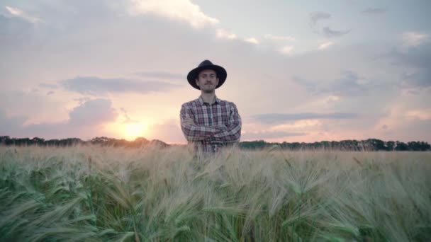 Young Male Farmer Walk Beautiful Summer Wheat Field Sunset — Stock Video