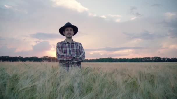 Genç Erkek Çiftçi Gün Batımında Güzel Yaz Buğday Tarlasında Yürümek — Stok video