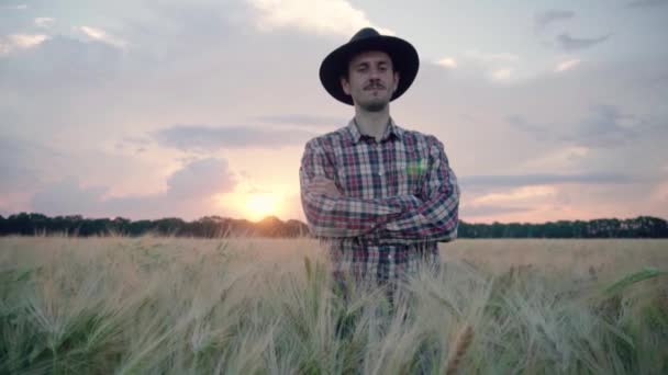 Young Male Farmer Walk Beautiful Summer Wheat Field Sunset — Stock Video