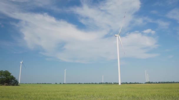 Вітряки Виробництва Електроенергії Пшеничних Полях Проти Блакитного Неба — стокове відео