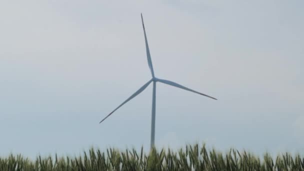 Windmühlen Zur Stromerzeugung Auf Den Weizenfeldern Vor Blauem Himmel — Stockvideo