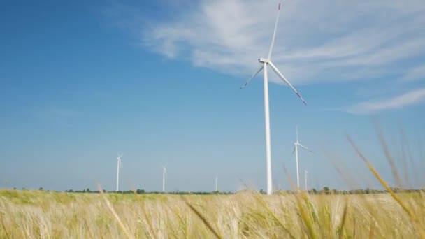 Windmühlen Zur Stromerzeugung Auf Den Weizenfeldern Vor Blauem Himmel — Stockvideo