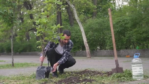 Jeune Homme Avec Une Pelle Plantant Arbre Dans Parc Ville — Video