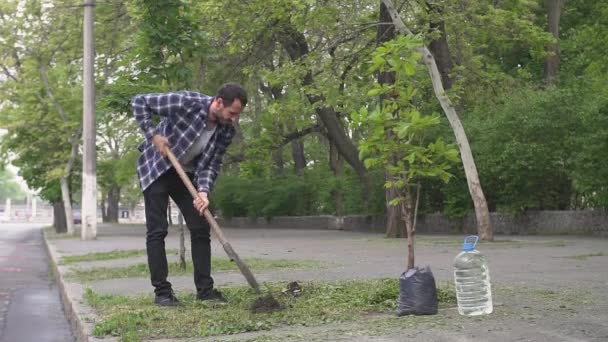 Junger Mann Mit Schaufel Pflanzt Baum Stadtpark — Stockvideo