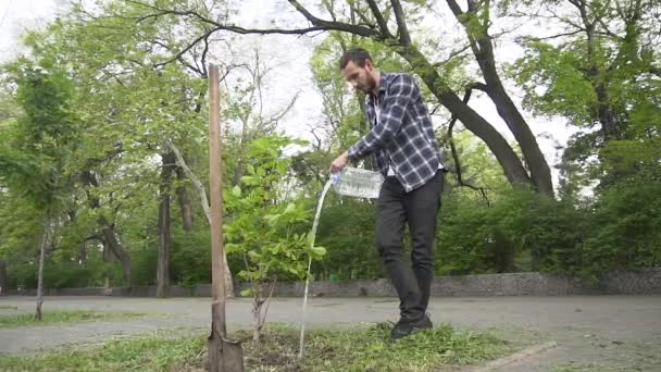 Młody Mężczyzna Łopata Sadzenia Drzewa Parku Miejskim — Wideo stockowe