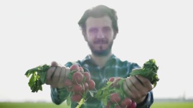 Bahar alanlarında kırmızı turp yakın