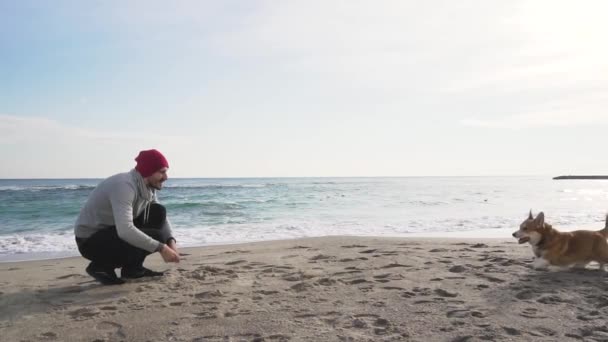 Laki Laki Muda Bermain Dengan Anjing Corgi Pantai Waktu Musim — Stok Video