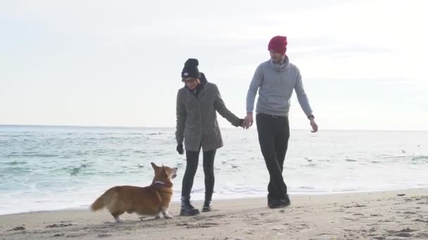 Jovem Casal Andando Praia Com Cão Corgi Bonito — Vídeo de Stock