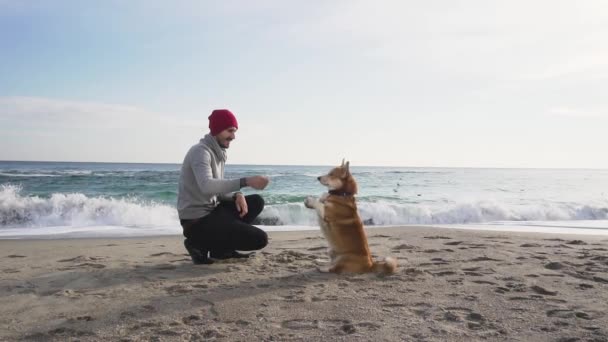 若い男性は秋の時間にビーチでコーギー犬と遊ぶ — ストック動画