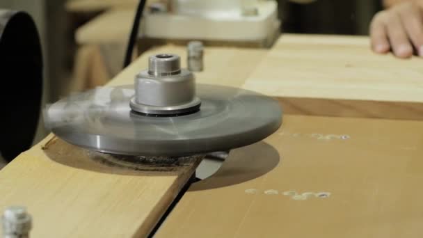 Artisanat Bois Naturel Processus Fabrication Meubles Bois — Video